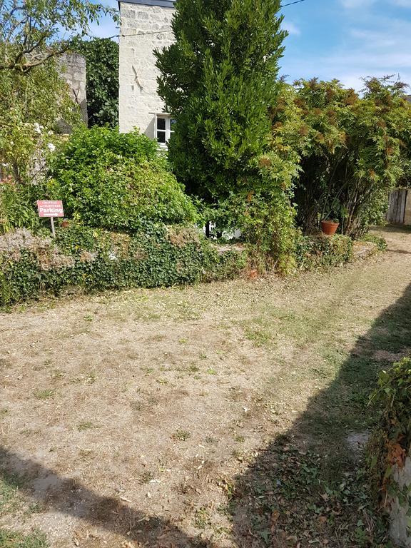 Gite Chateau De Chaintres Dampierre-sur-Loire エクステリア 写真